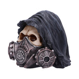 Catch Your Breath Steampunk Skull 19.5cm - Figures & Collectables at Gift Moments