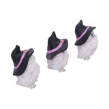 Three Wise Feathered Familiars 9cm - Figures & Collectables at Gift Moments