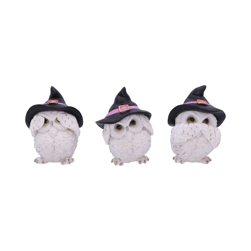 Three Wise Feathered Familiars 9cm Default Title - Figures & Collectables at Gift Moments