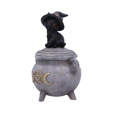 Witch Cat Cauldron Box 14cm - Boxes at Gift Moments