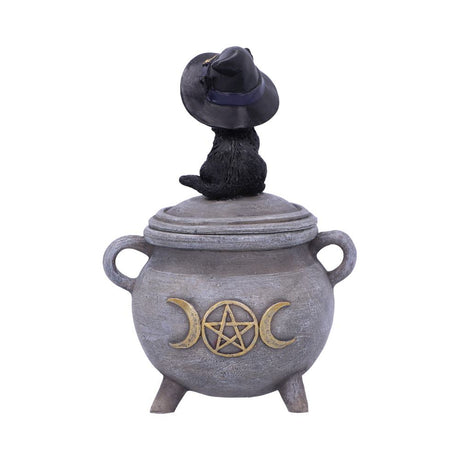 Witch Cat Cauldron Box 14cm - Boxes at Gift Moments