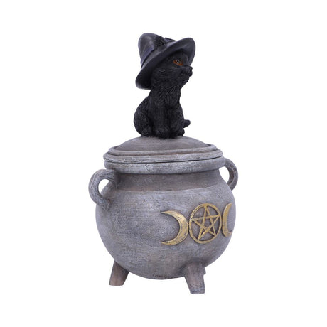 Witch Cat Cauldron Box 14cm - Boxes at Gift Moments