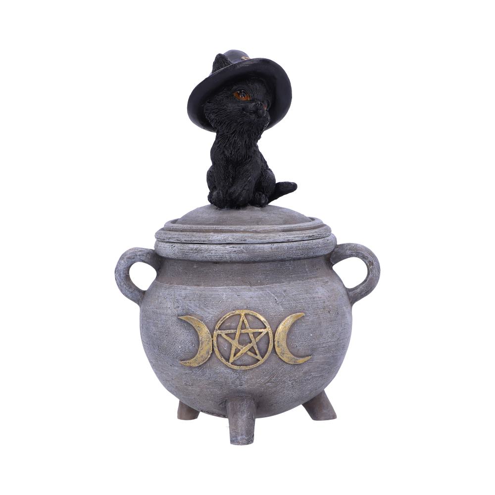 Witch Cat Cauldron Box 14cm Default Title - Boxes at Gift Moments