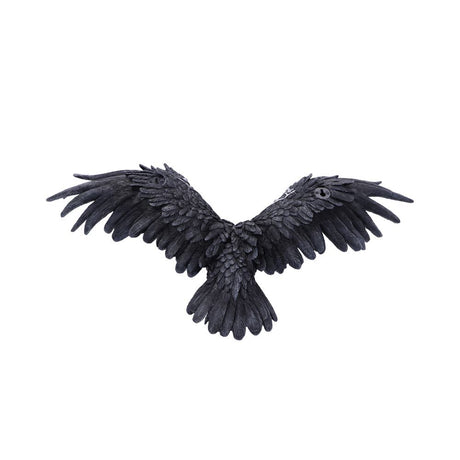 Dark Feather Owl Wall Plaque 55cm - Wall Hanging Sculptures at Gift Moments