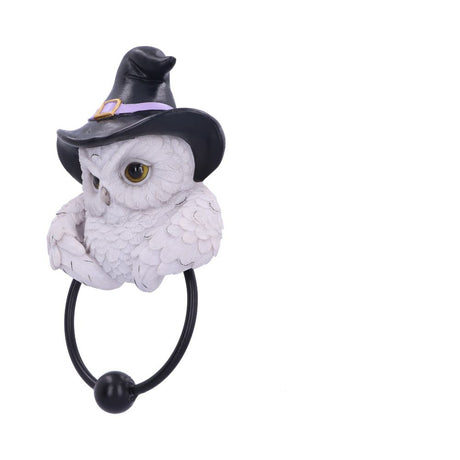 Snowy Owl Magic Door Knocker 21cm - Door Knockers at Gift Moments