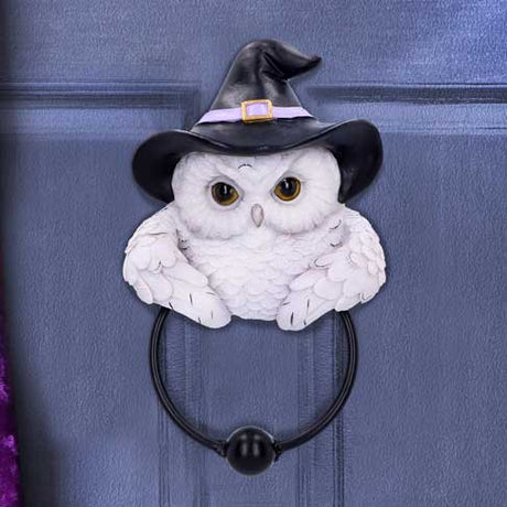 Snowy Owl Magic Door Knocker 21cm - Door Knockers at Gift Moments