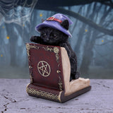 Peek-a-boo Witch Cat Bookend - Figures & Collectables at Gift Moments