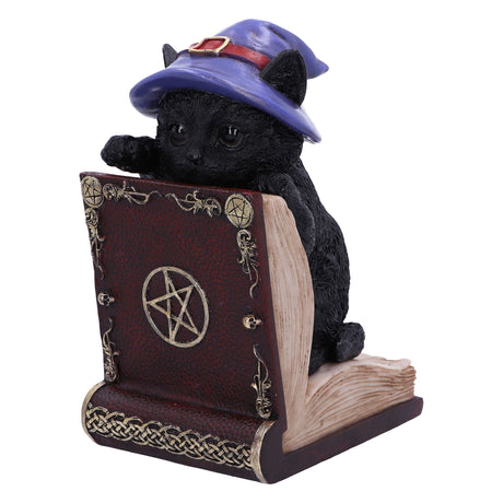 Peek-a-boo Witch Cat Bookend Default Title - Figures & Collectables at Gift Moments