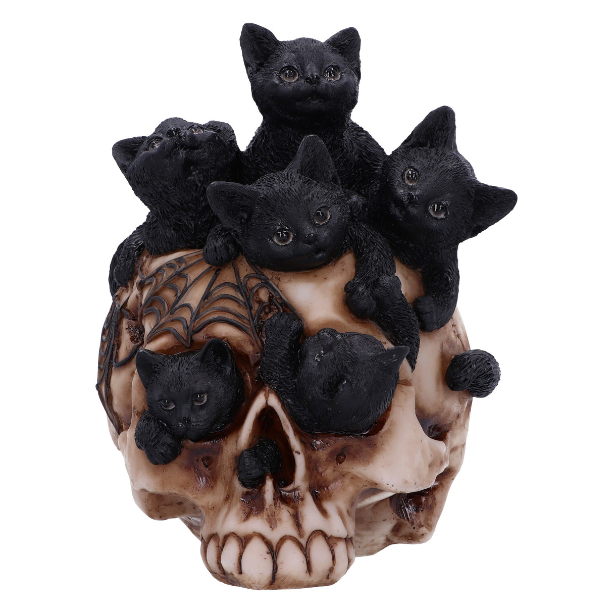 Cranial Litter Skull - Figures & Collectables at Gift Moments