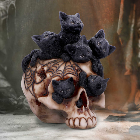 Cranial Litter Skull - Figures & Collectables at Gift Moments