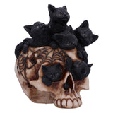 Cranial Litter Skull Default Title - Figures & Collectables at Gift Moments