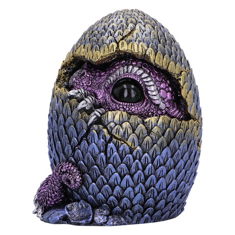 Hidden Hatchling Dragon Ornament - Figures & Collectables at Gift Moments