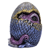 Hidden Hatchling Dragon Ornament Default Title - Figures & Collectables at Gift Moments