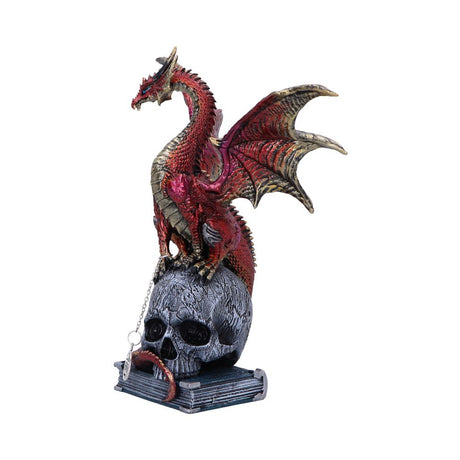 Fate of the World Dragon on Skull Figurine 23cm - Figures & Collectables at Gift Moments