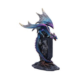 Draconic Dragon on Sigil Figurine 17.5cm - Figures & Collectables at Gift Moments