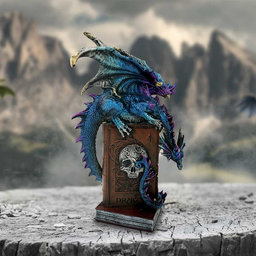 A Tale of Dragons Skull Book Figurine 22cm - Figures & Collectables at Gift Moments