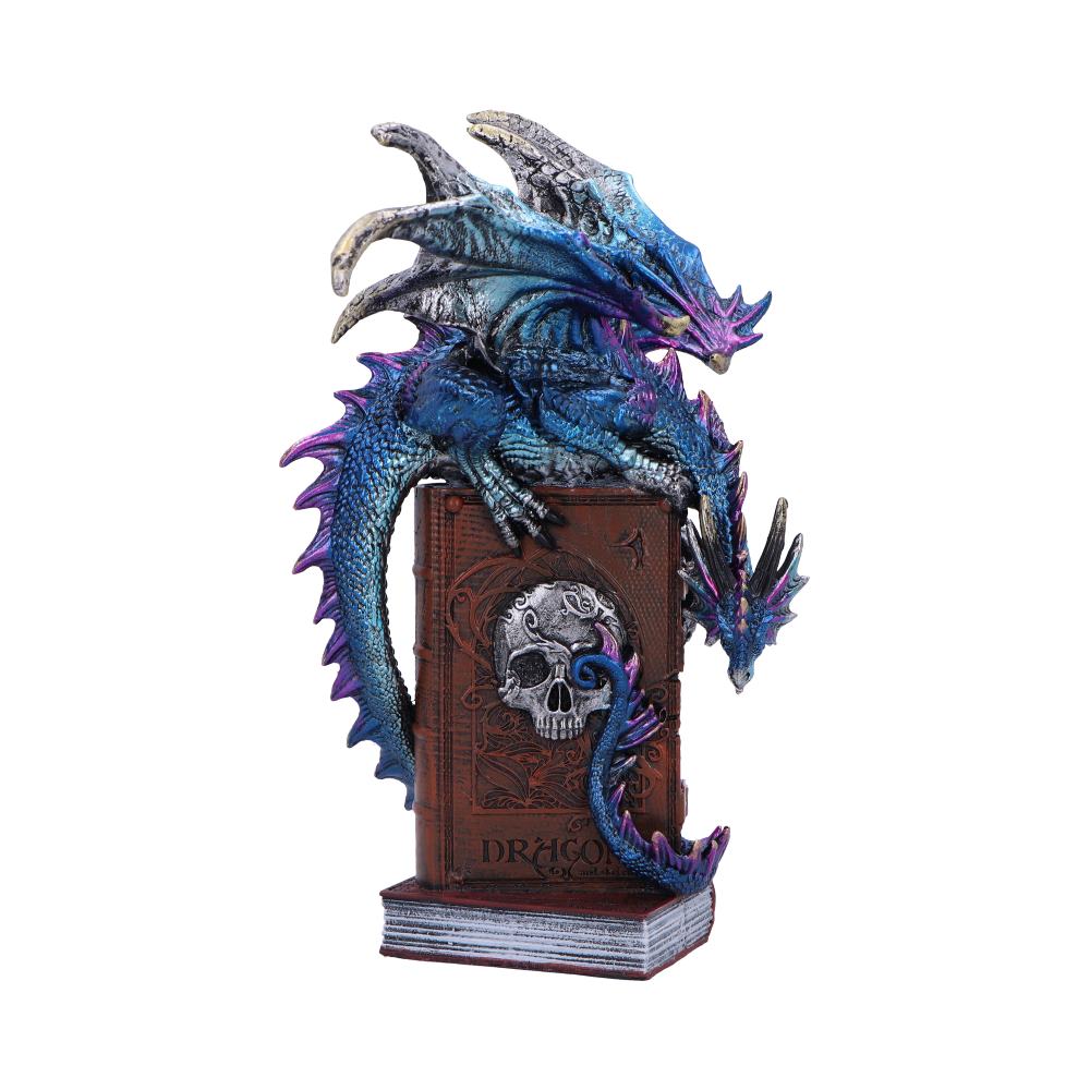 A Tale of Dragons Skull Book Figurine 22cm Default Title - Figures & Collectables at Gift Moments