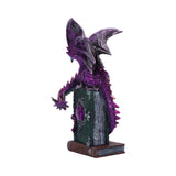 Dragon Fable Purple Dragon on Book Figurine 24cm - Figures & Collectables at Gift Moments