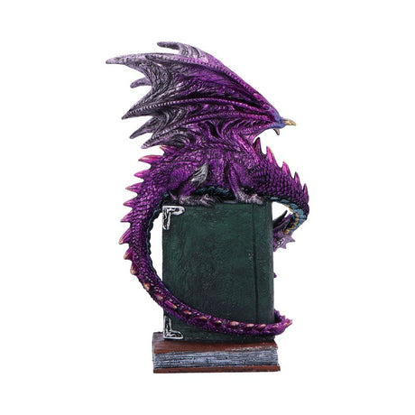 Dragon Fable Purple Dragon on Book Figurine 24cm - Figures & Collectables at Gift Moments