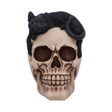 Forever Friend Black Cat Skull Head 14.5cm - Figures & Collectables at Gift Moments