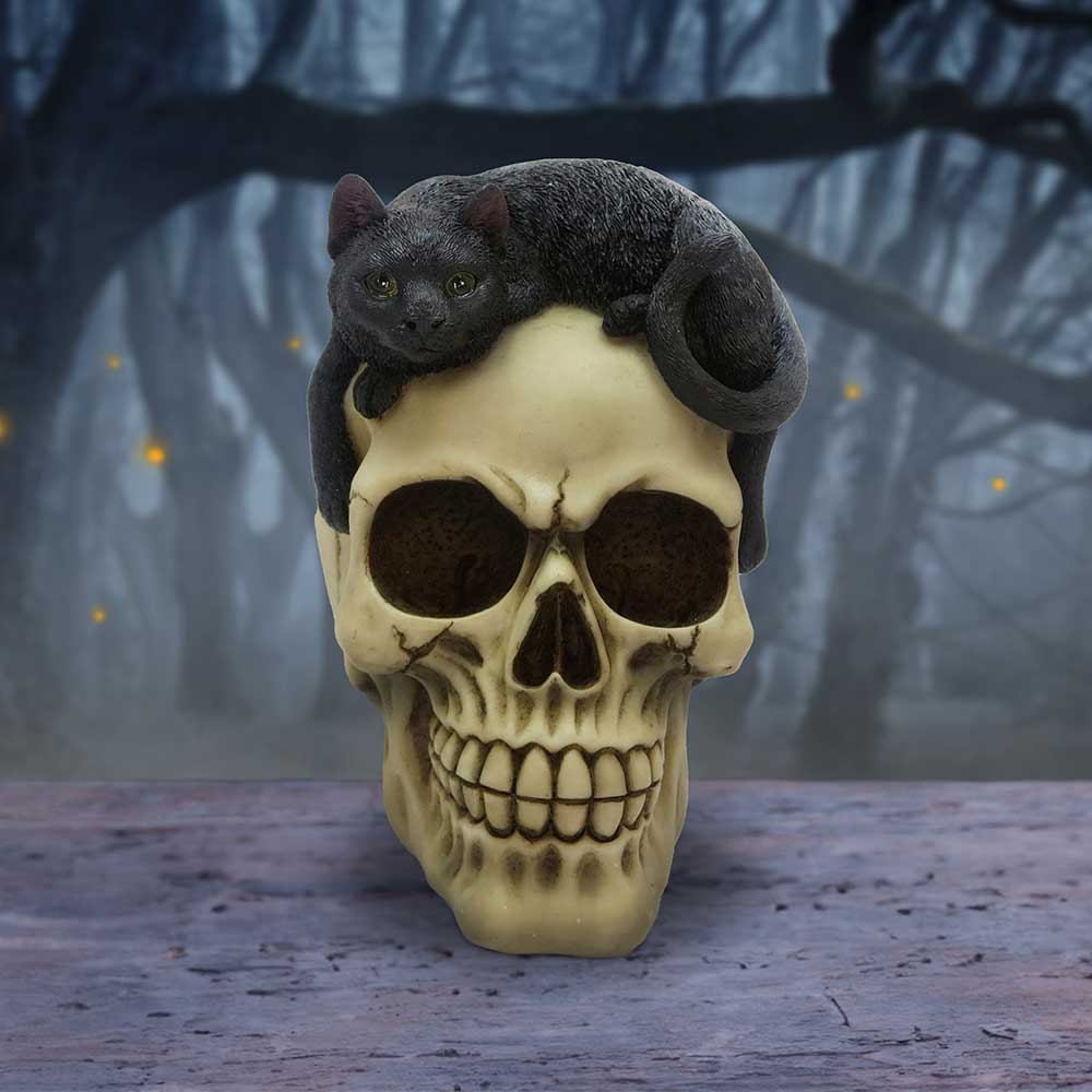 Forever Friend Black Cat Skull Head 14.5cm - Figures & Collectables at Gift Moments