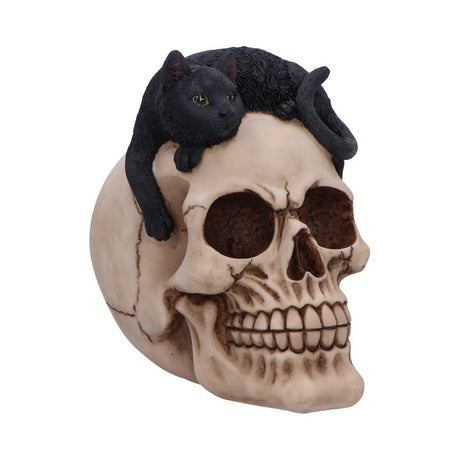 Forever Friend Black Cat Skull Head 14.5cm Default Title - Figures & Collectables at Gift Moments