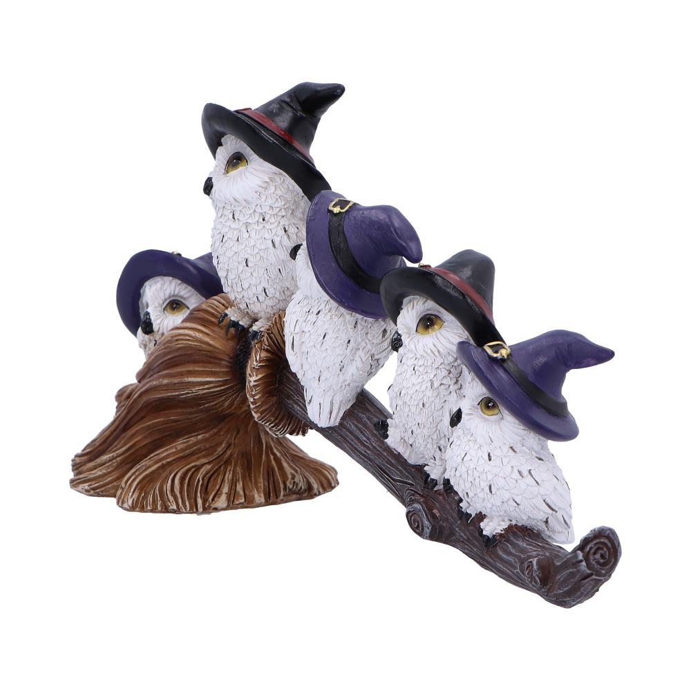 Feathered Owls on Broomstick Figurine 26cm - Figures & Collectables at Gift Moments