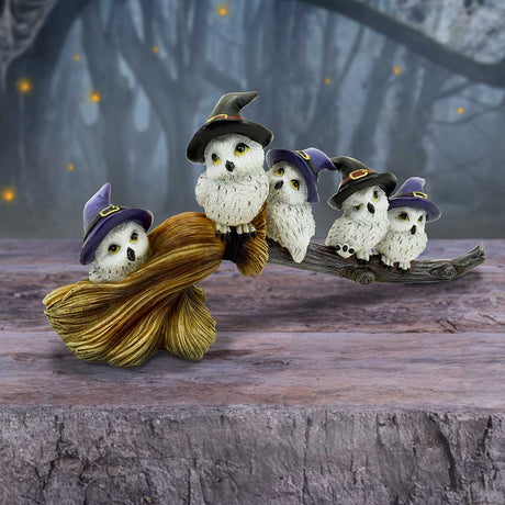 Feathered Owls on Broomstick Figurine 26cm - Figures & Collectables at Gift Moments