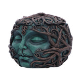 Tree Spirit Head Treasure Box 13cm - Boxes at Gift Moments