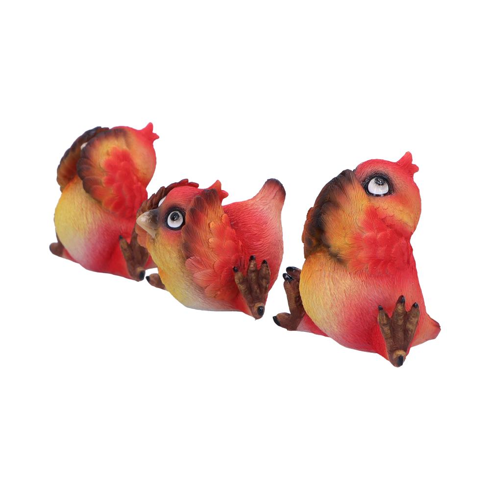 Comical Three Wise Bird Figurines - Figures & Collectables at Gift Moments