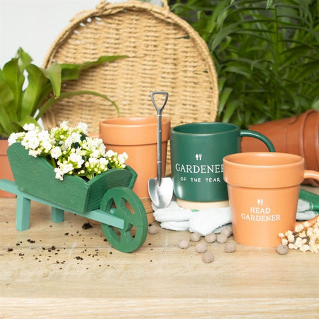 Head Gardener Ceramic Plant Pot Mug and Spoon - Mugs at Gift Moments