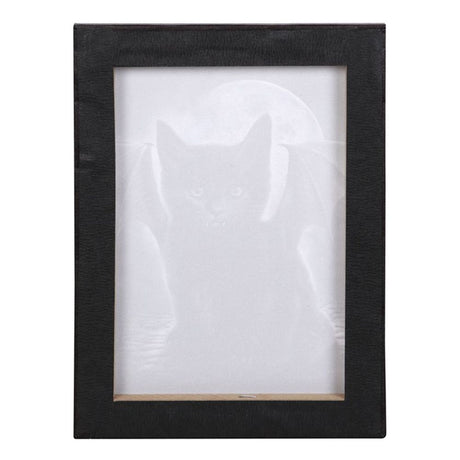 Bat Cat Canvas Plaque by Spiral Direct - at Gift Moments