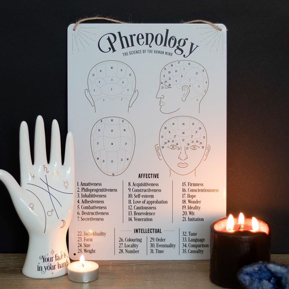 Phrenology Map Metal Sign