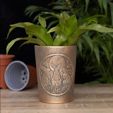 Moon Shadows Bronze Terracotta Plant Pot by Lisa Parker - Vases & Plant Pots at Gift Moments