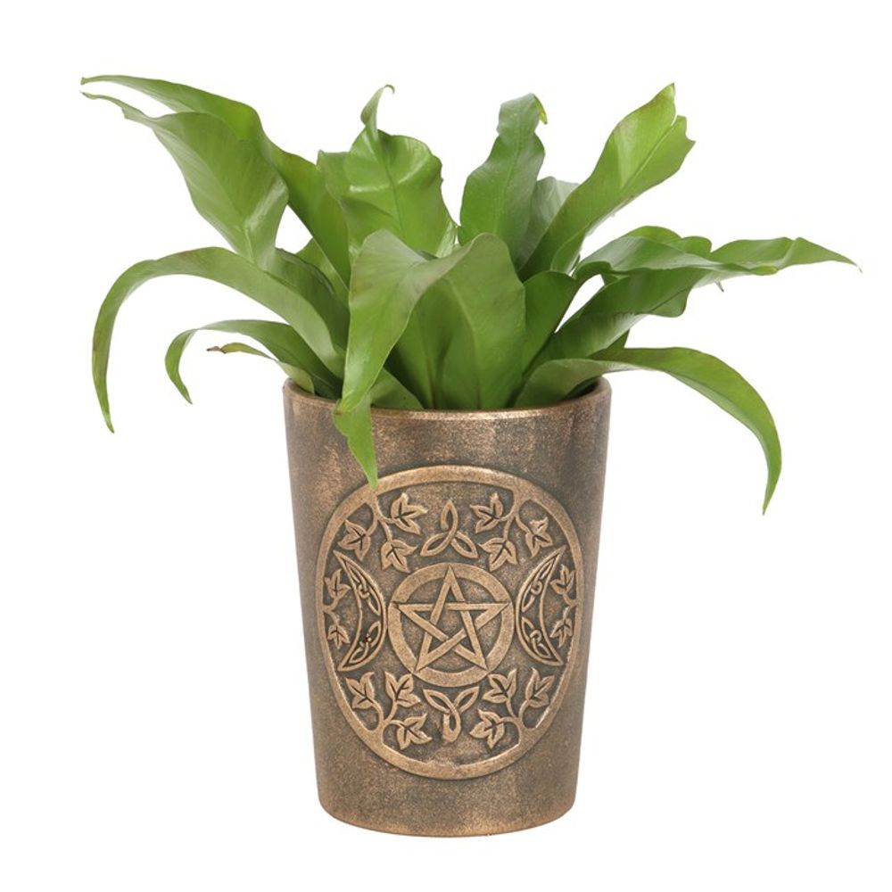 Triple Moon Bronze Terracotta Plant Pot by Lisa Parker - Pots & Planters at Gift Moments