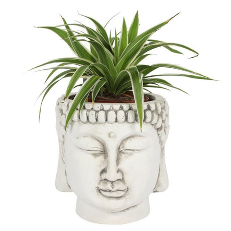 Serene White Terracotta Buddha Head Planter - at Gift Moments