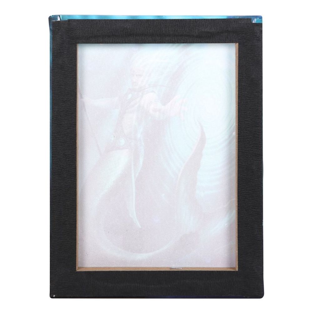 Water Element Wizard Canvas Plaque by Anne Stokes - Wall Art at Gift Moments