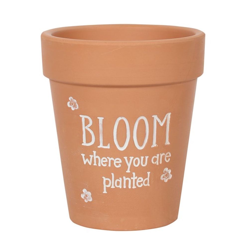 Bloom Where You Are Planted Terracotta Plant Pot - Pots & Planters at Gift Moments