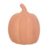 12.5cm Terracotta Pumpkin Ornament - Ornaments at Gift Moments