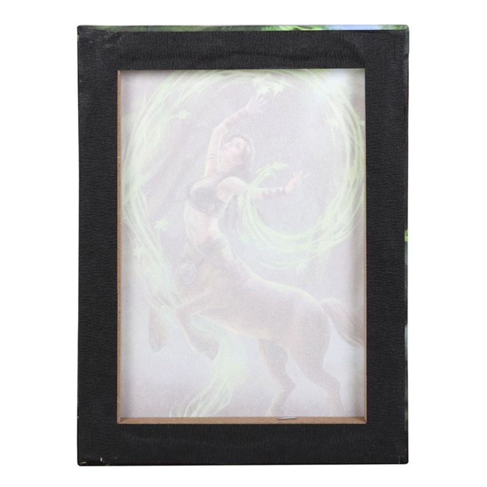 Earth Element Sorceress Canvas Plaque by Anne Stokes - Wall Art at Gift Moments