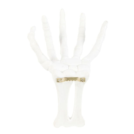 Skeleton Hand Wall Hook - Candle Holders at Gift Moments