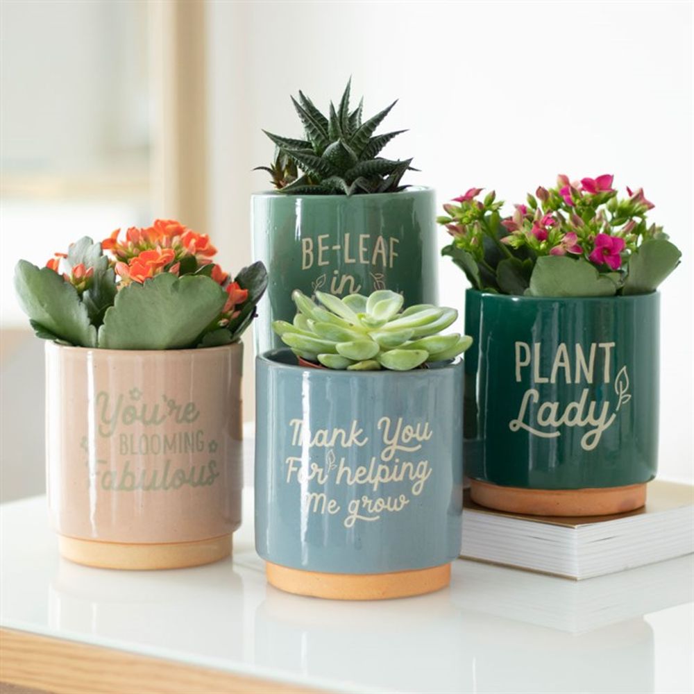 Green Be-Leaf in Yourself Plant Pot - Pots & Planters at Gift Moments