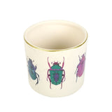 Off White Beetle Plant Pot - Pots & Planters at Gift Moments