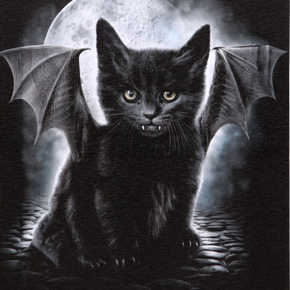 Bat Cat Canvas Plaque by Spiral Direct - at Gift Moments