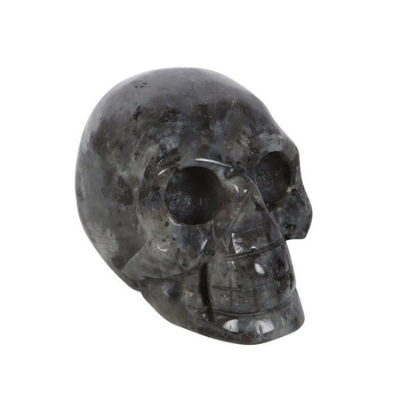 Black Labradorite Crystal Skull - at Gift Moments