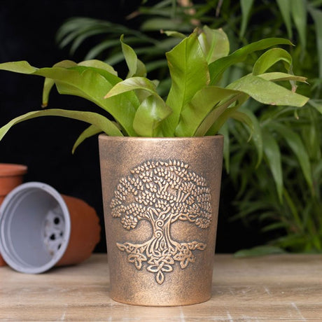 Tree of Life Bronze Terracotta Plant Pot by Lisa Parker - Pots & Planters at Gift Moments