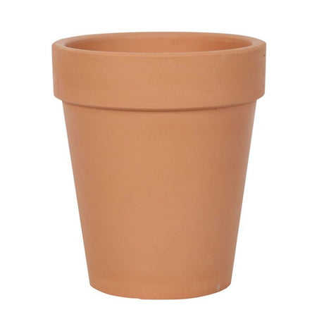 Bloom Where You Are Planted Terracotta Plant Pot - Pots & Planters at Gift Moments