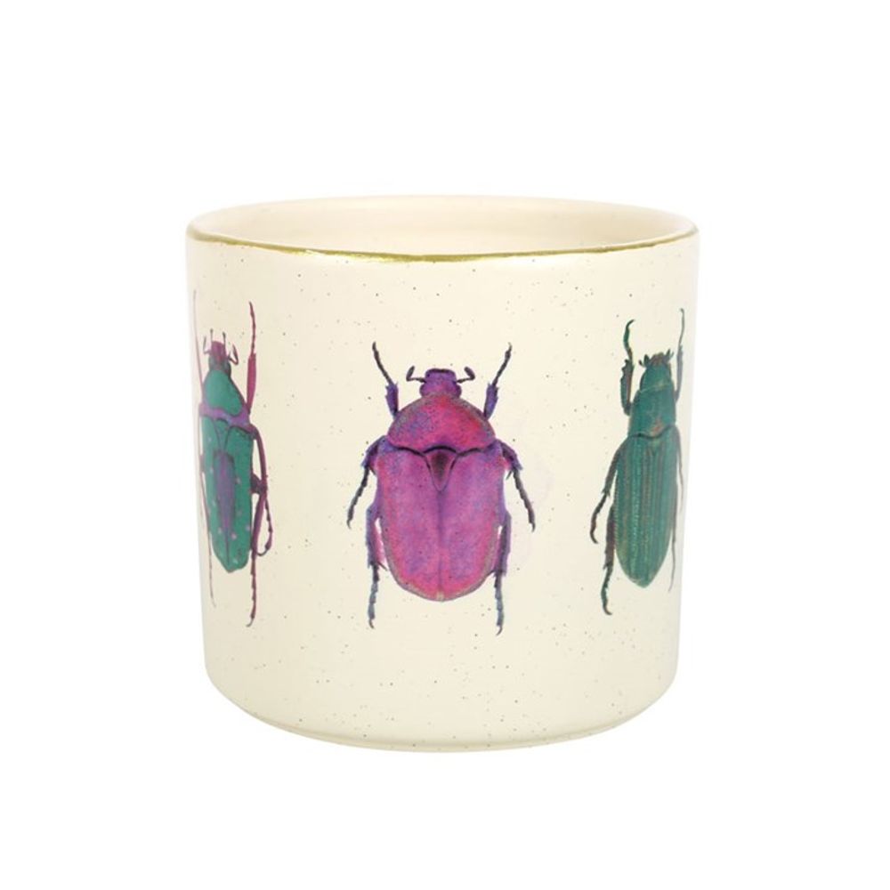 Off White Beetle Plant Pot - Pots & Planters at Gift Moments