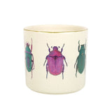 Off White Beetle Plant Pot - Pots & Planters at Gift Moments