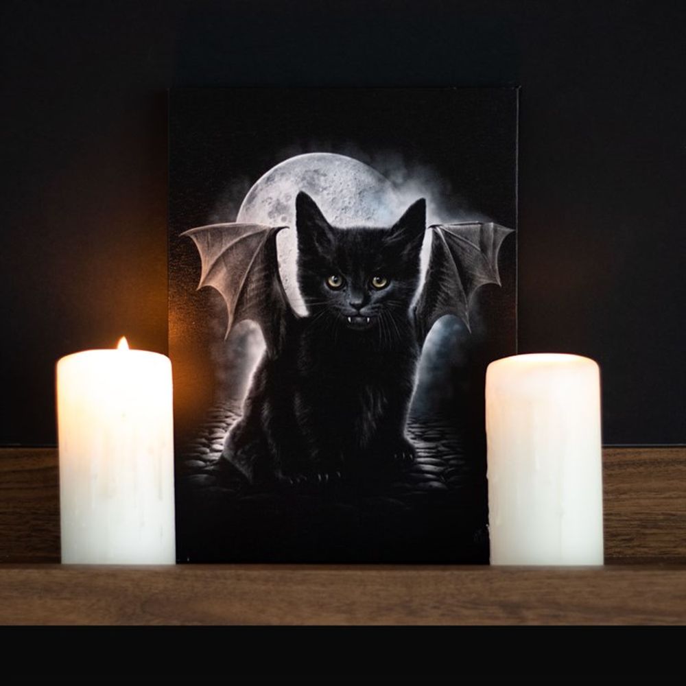 Bat Cat Canvas Plaque by Spiral Direct - at Gift Moments